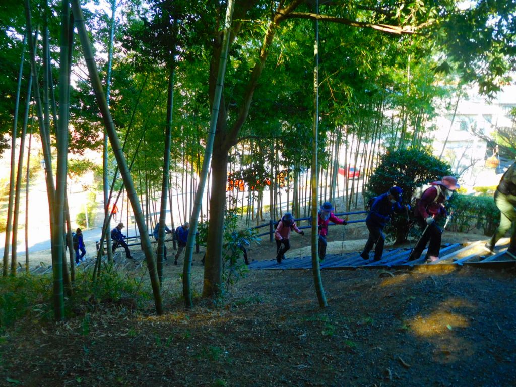 折田不動公園　頂上へ　「竹林が素敵」との声が挙がってました