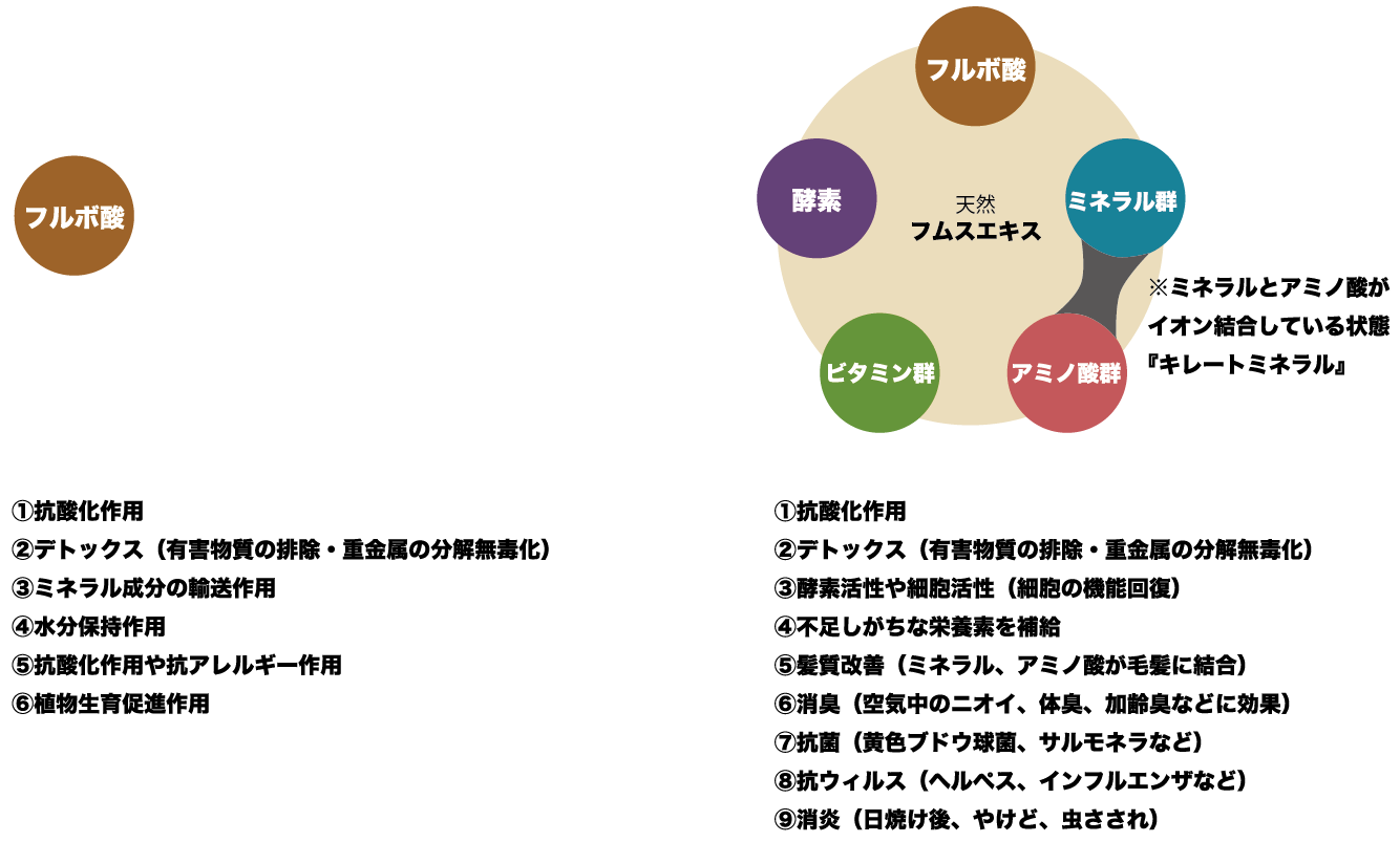 フルボ酸