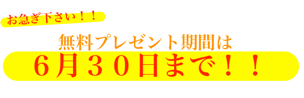 お急ぎ下さい！無料プレゼント期間は6月30日まで！