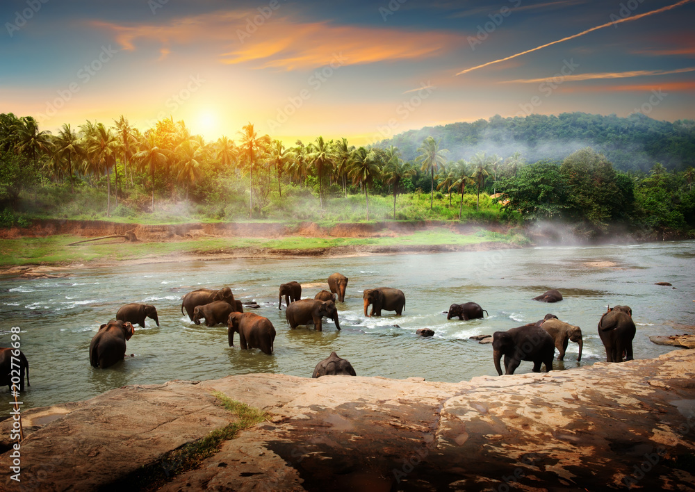 Unsere Route flyinghopperschs seite!