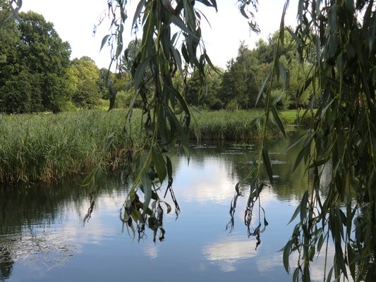 mühlenteich im herzen rehnas