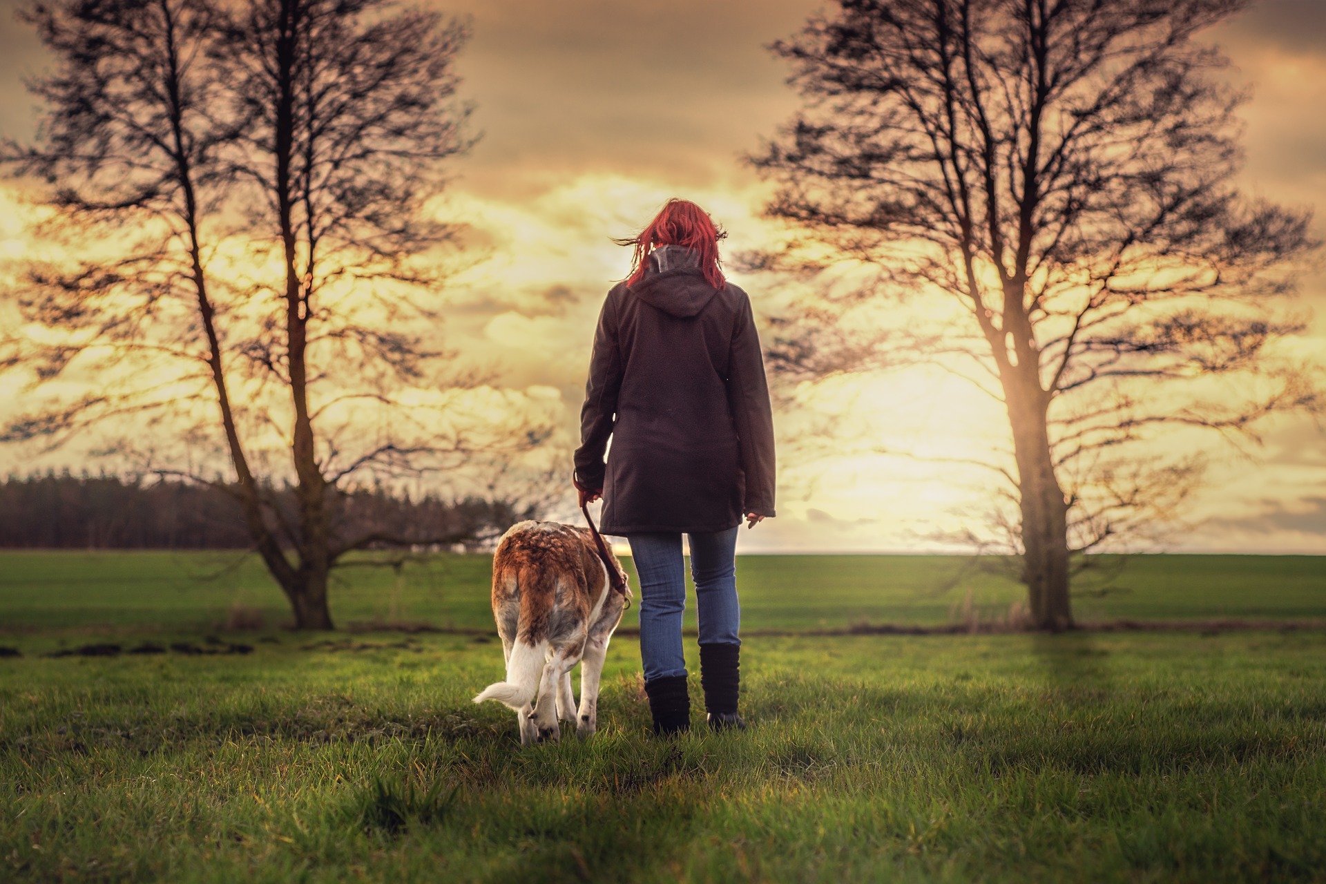 Einzeltraining Hundeschule Bunter Hund Gehrden Hannover