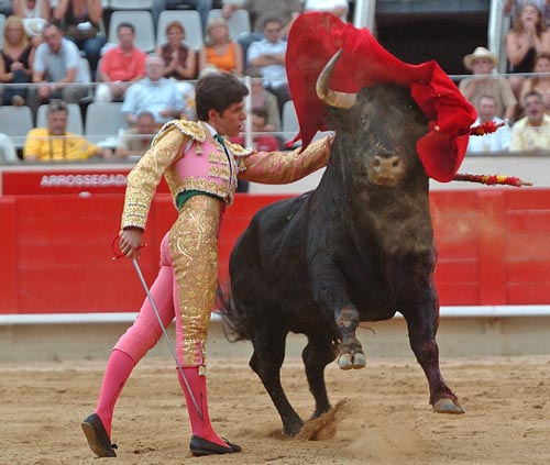 Коррида в Барселоне (пешеходная экскурсия) - ГИД В БАРСЕЛОНЕ, ЭКСКУРСИИ ...