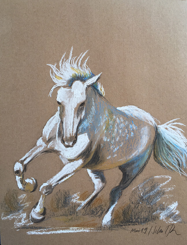 Weisses Pferd 2019