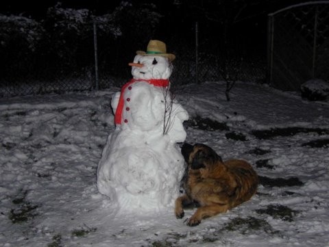 Raudi liebte den Schnee und die Kälte, der Schneemann faszinierte ihn