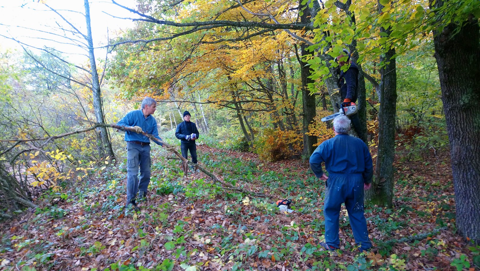 Nettoyage des berges du Petit Albert, automne 2018