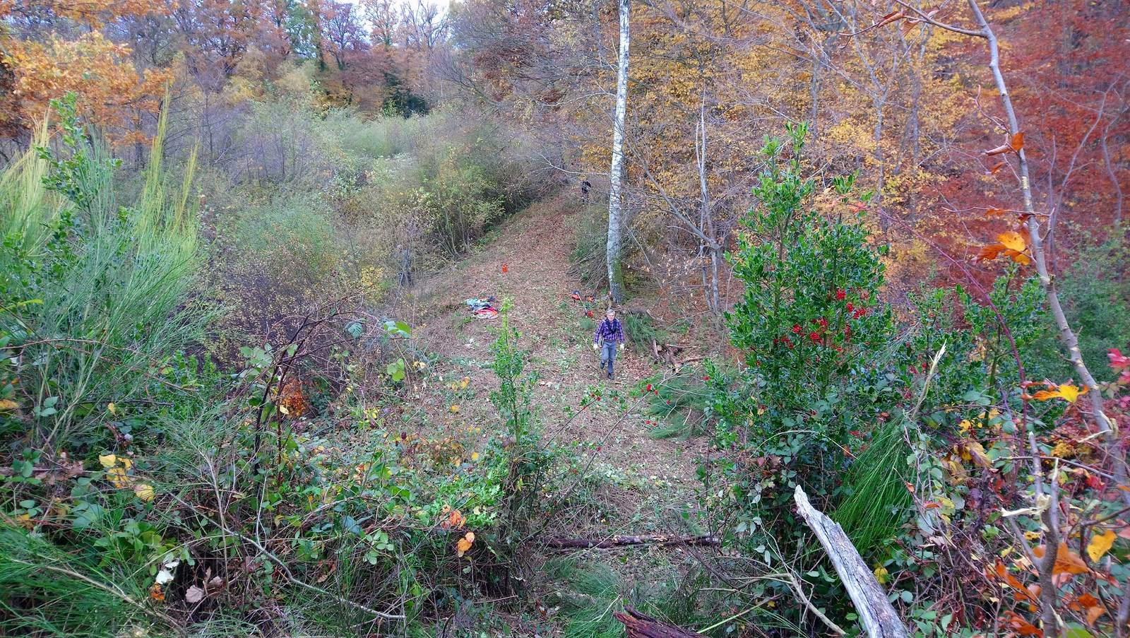 Un chemin se dessine en bordure du Petit Albert