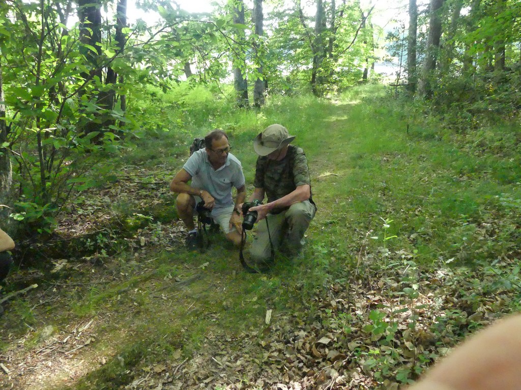 Se mettre à hauteur du sujet (le petit champignon !)