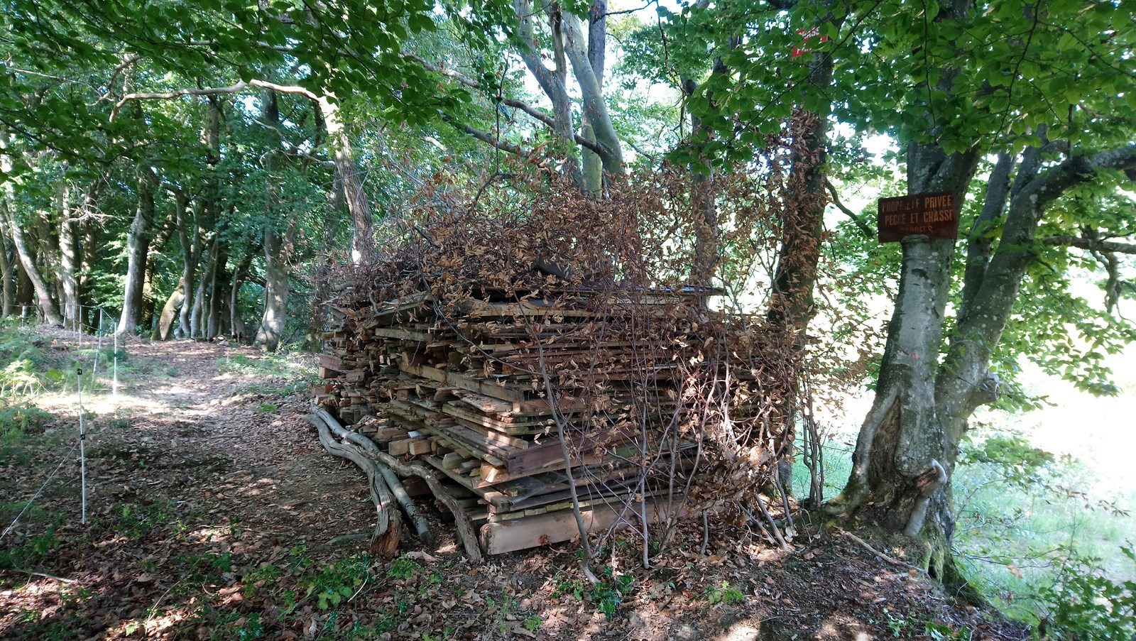 Les tas de bois deviennent des abris pour la petite faune