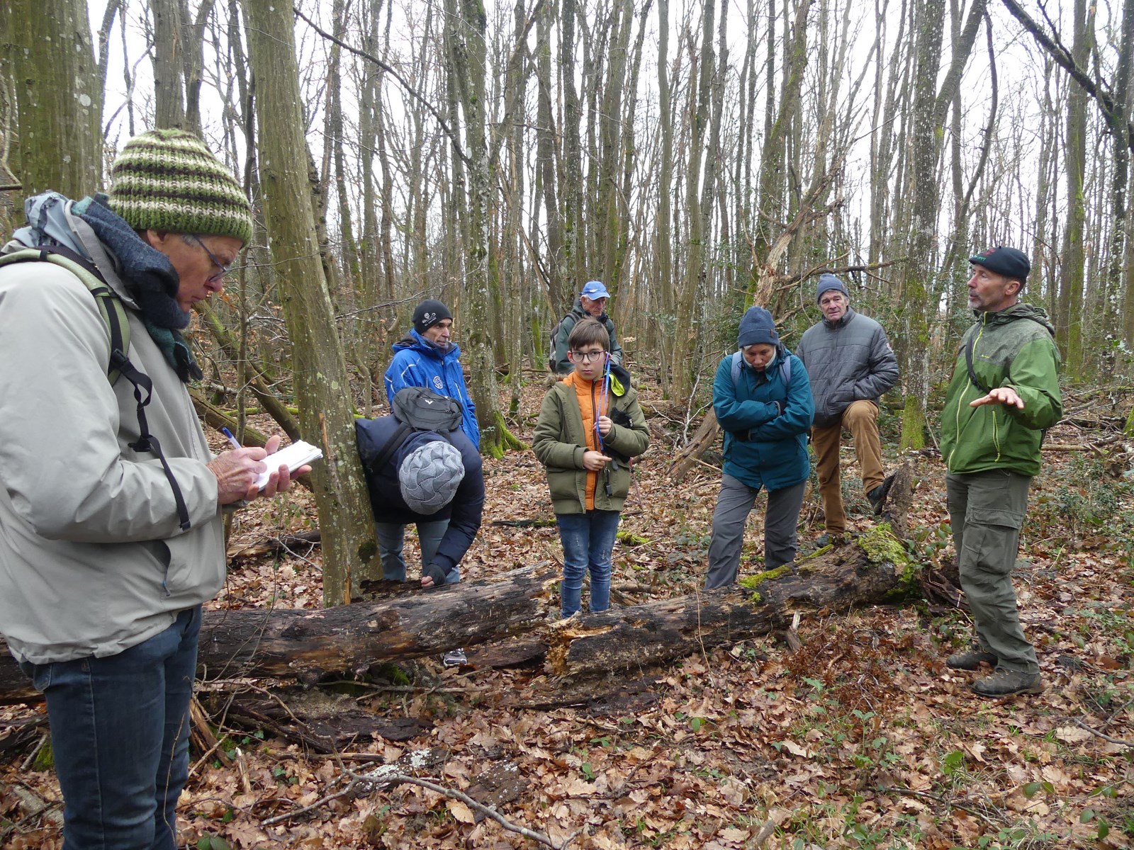 Nous sommes en pleine forêt non exploitée