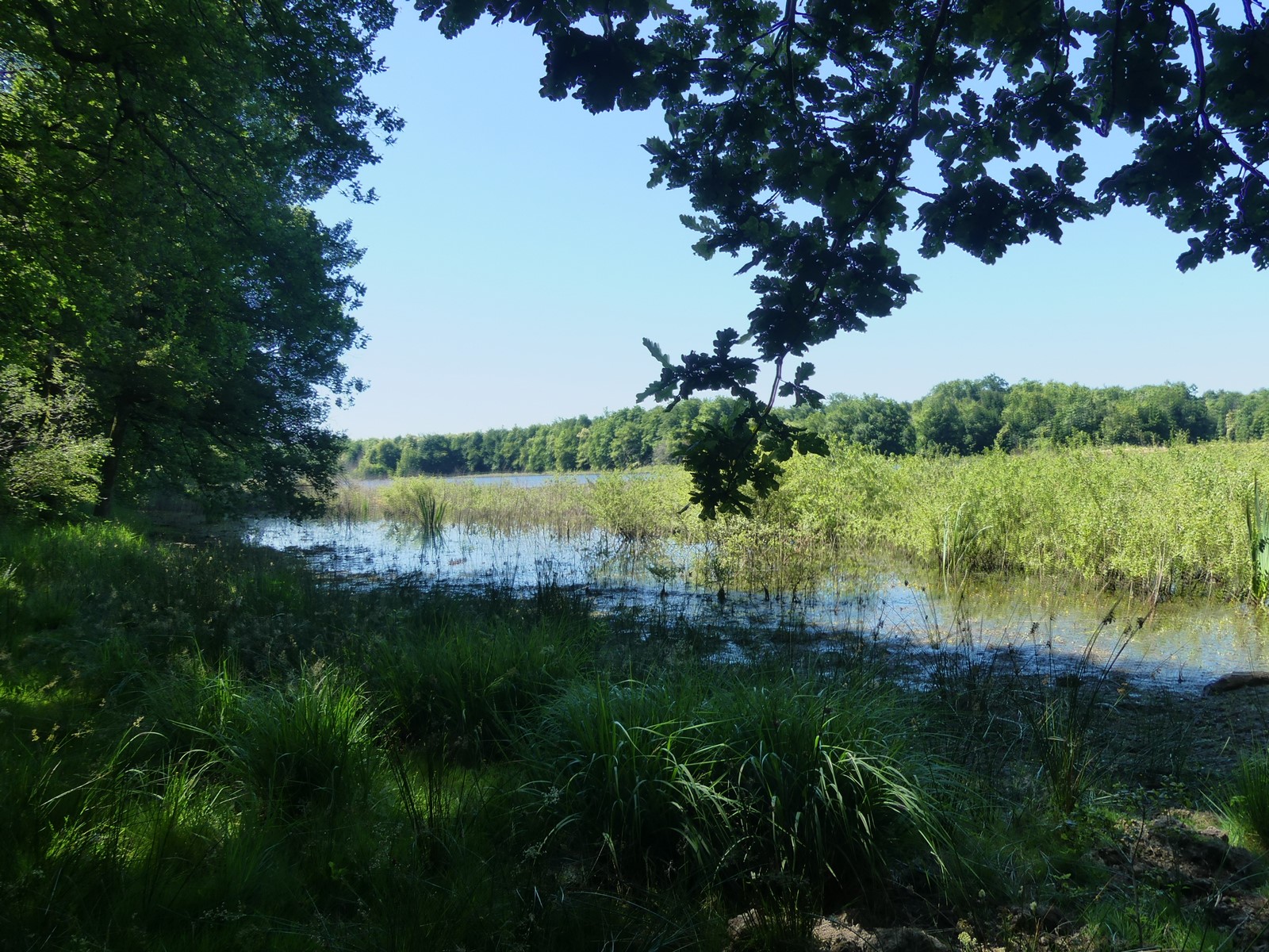 Vue sur le Grand Albert depuis la rive Nord