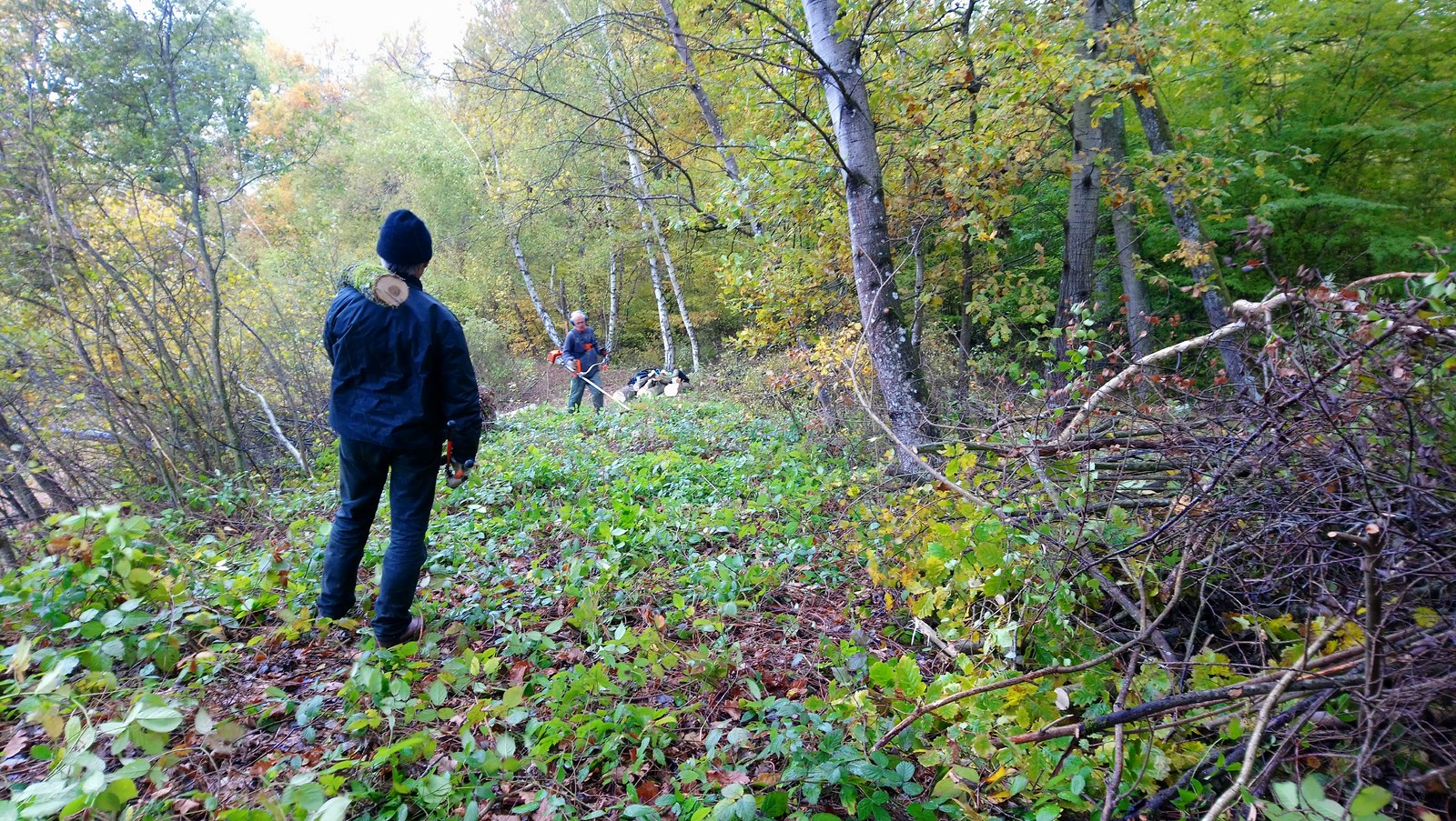 Nettoyage des berges du Petit Albert, automne 2018