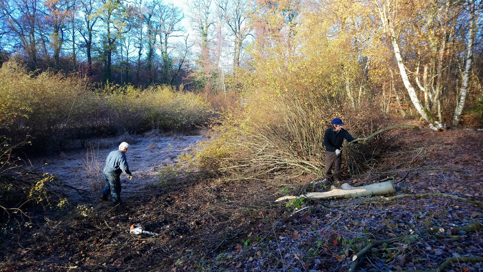 Coupe de végétation au fond du Petit Albert, automne 2018