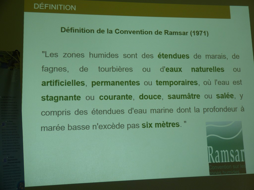 Définition des zones humides selon la convention de Ramsar