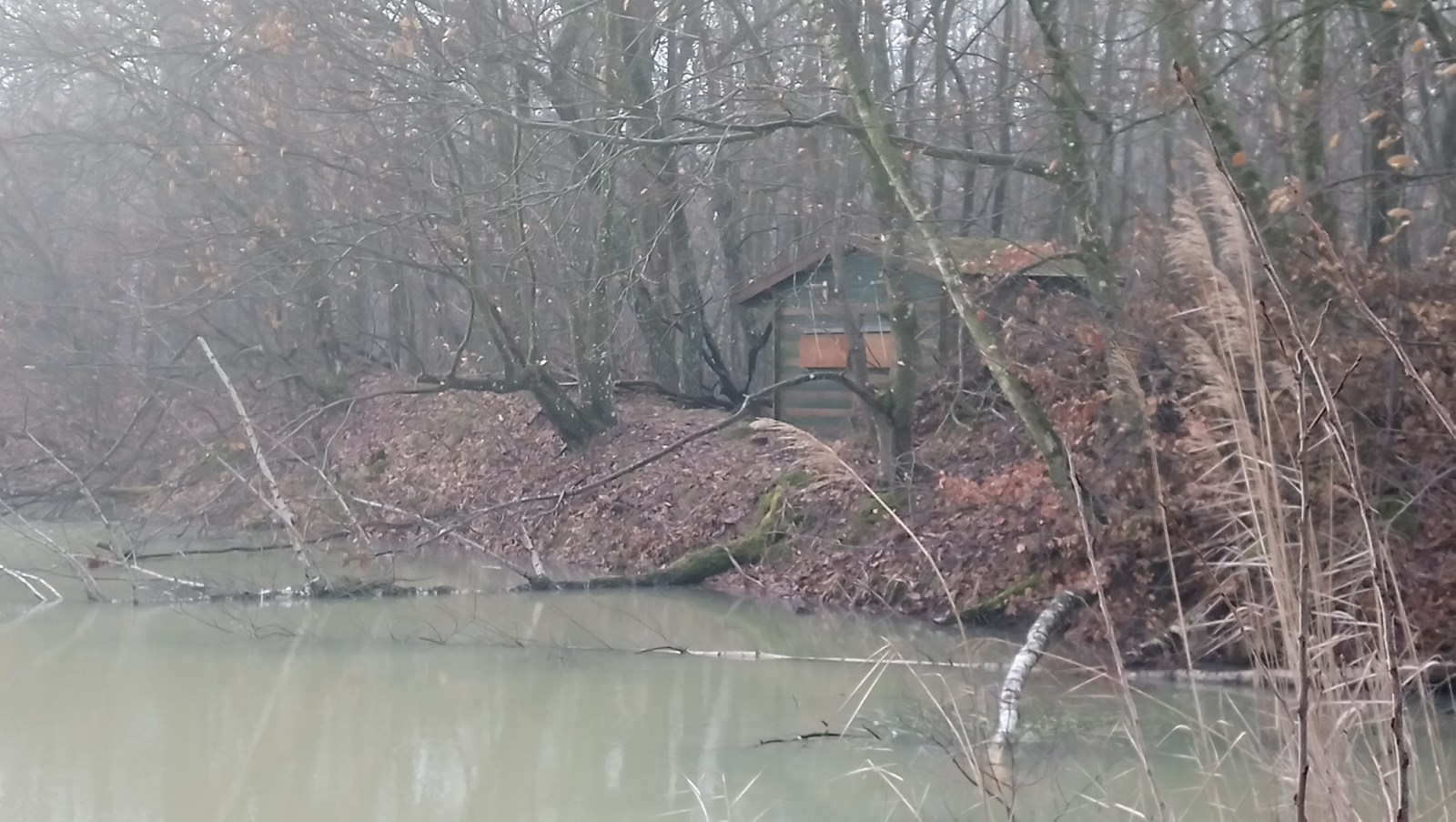 L'observatoire en bordure de la réserve de biodiversité