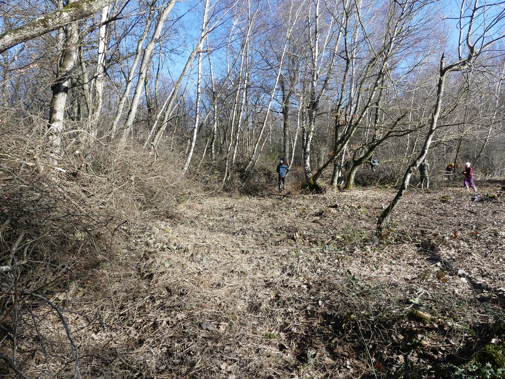 La Haie sèche en enfilade