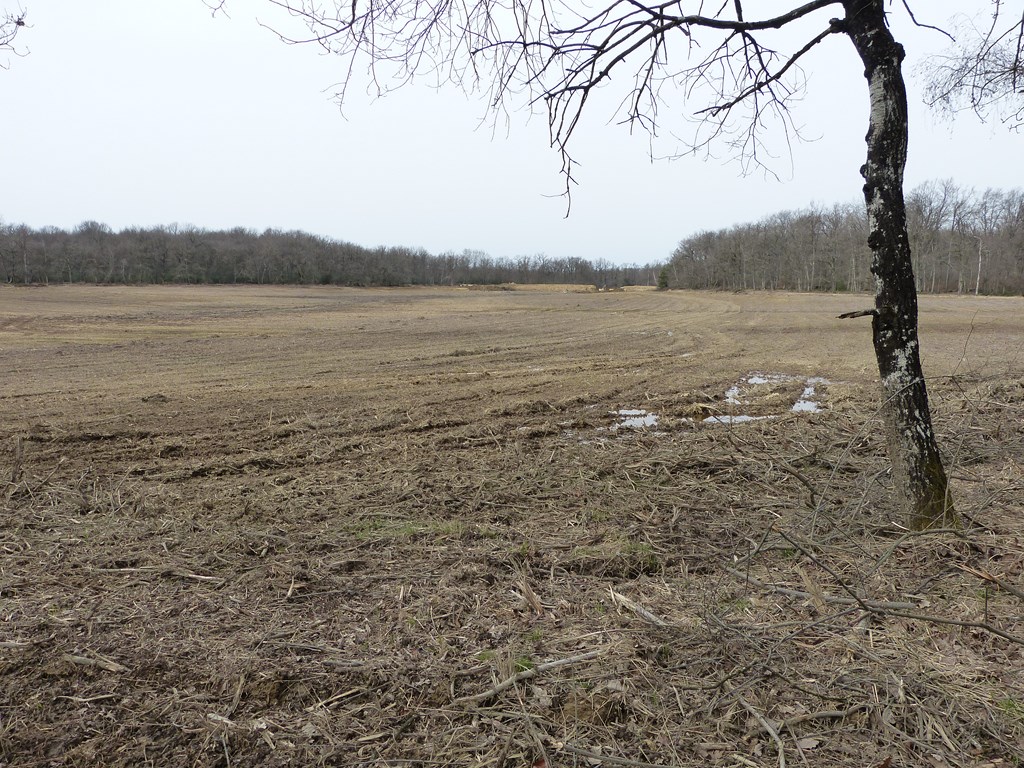 Vue en enfilade de l'étang encore vide !