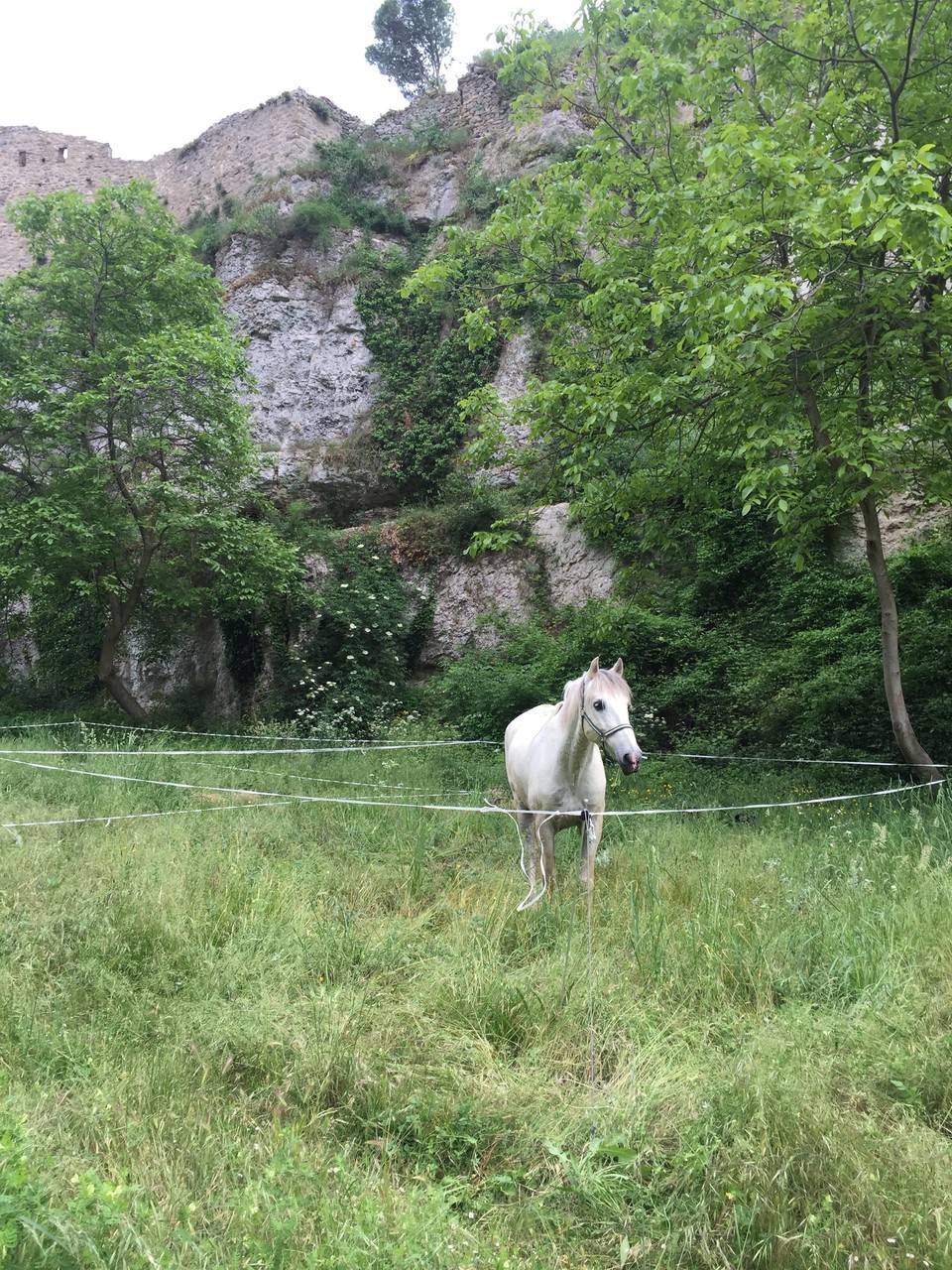 Minerve (France), 2015 / unser Prototyp-Paddock im Test