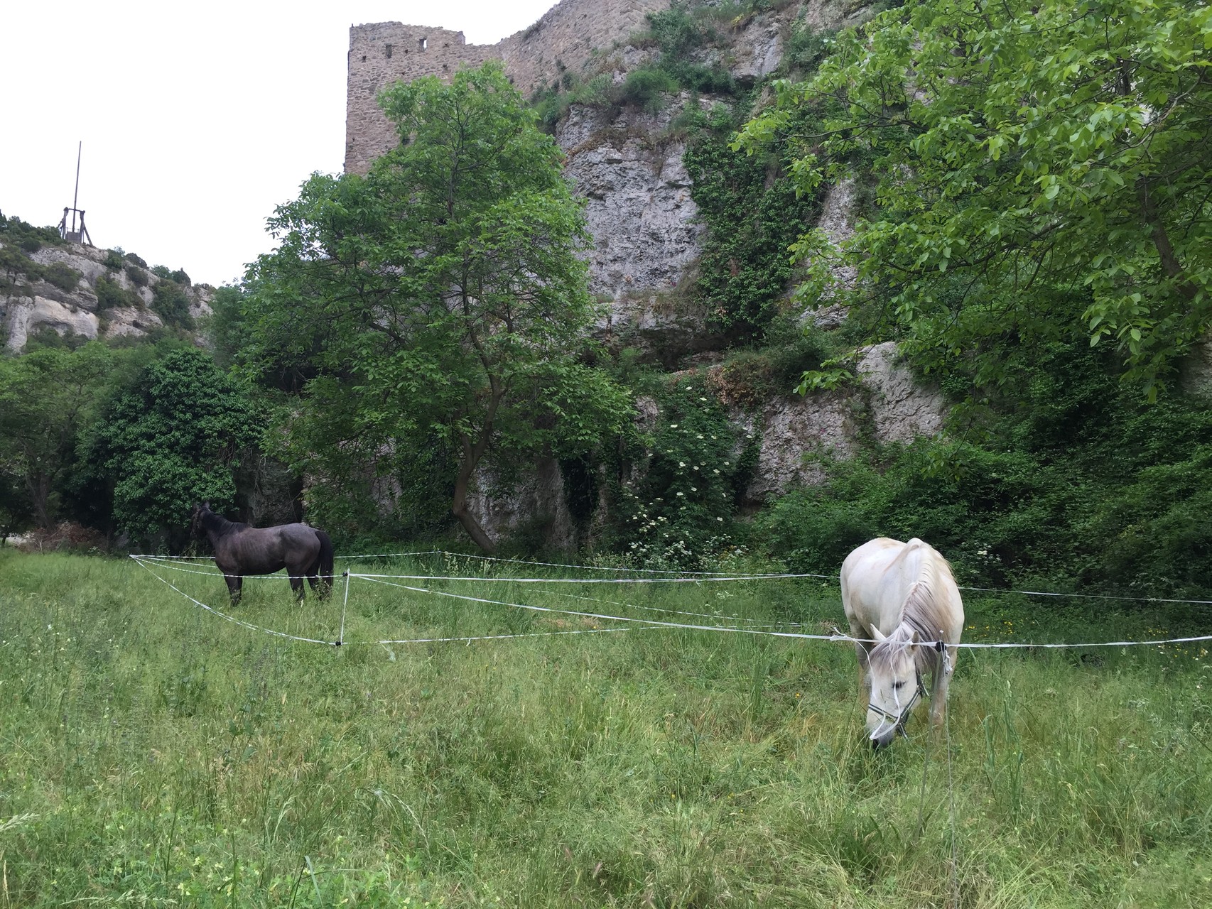 Minerve (France), 2015 / unser Prototyp-Paddock im Test