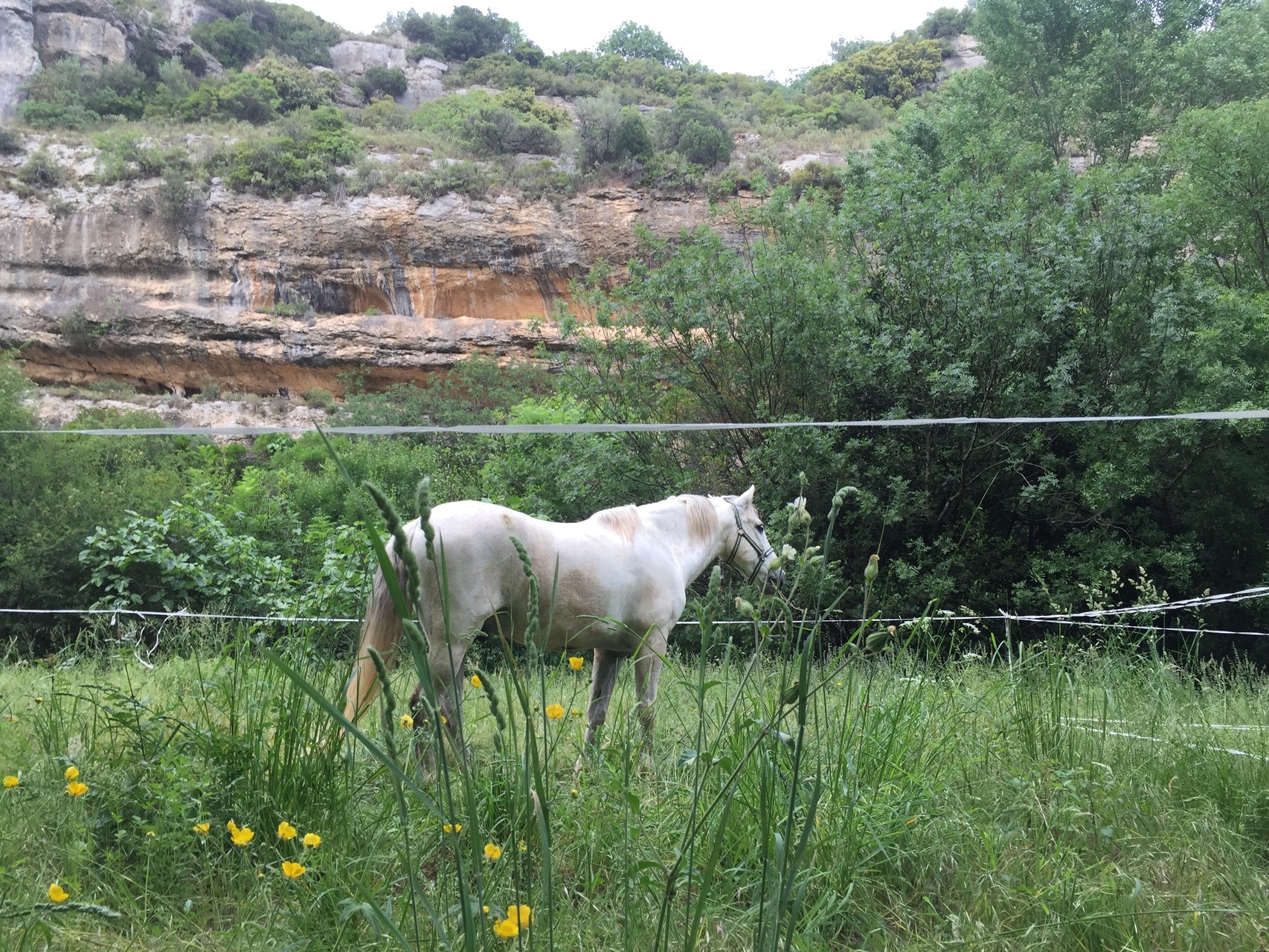 Minerve (France), 2015 / unser Prototyp-Paddock im Test