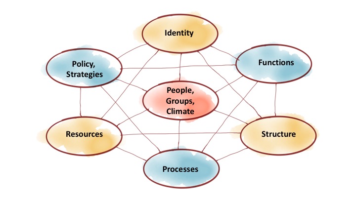 Wolfgang Grilz - developing organisations in a systemic-evolutionary way