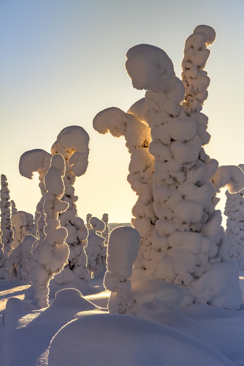 Lapplands Stille erleben: Was Schnee, Frost und Natur in Finnland so besonders macht