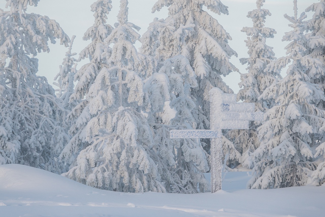 Wie fühlt sich -20 Grad in Lappland an – und wie schützt man sich?