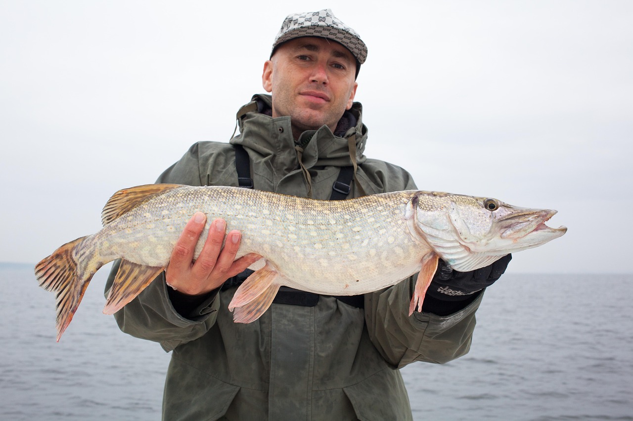 Fische in Lappland: Artenübersicht für Simojärvi, Koirajärvi und Simojoki Fluss