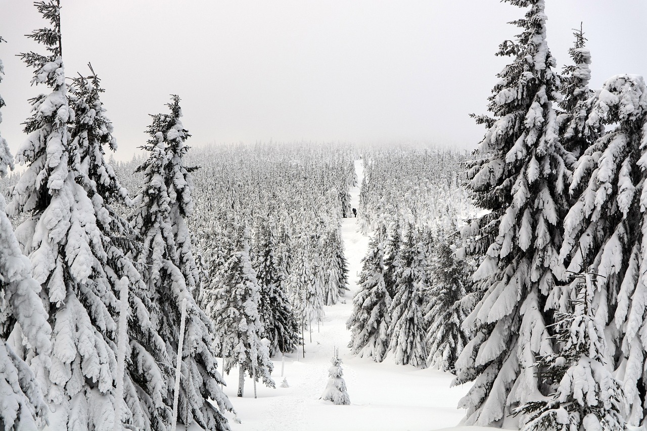 How much does a Lapland holiday cost? – Transparent prices & real value