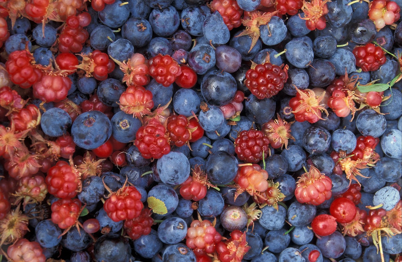 Welche Beeren wachsen rund um Mökki Tikka? Ein Überblick für Sammler