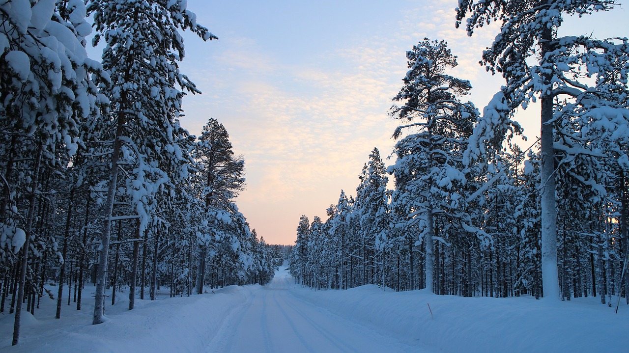 Wie reist man im Winter am besten nach Lappland?