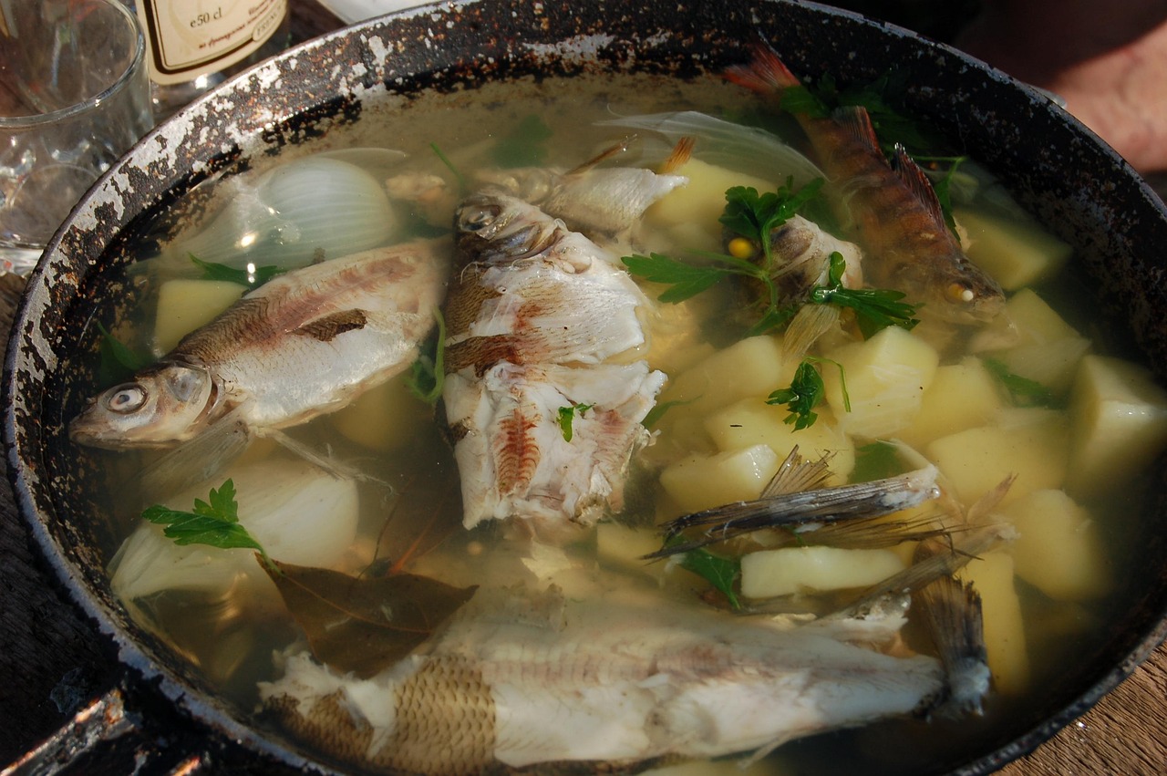 Fischfond am Lagerfeuer: So gelingt die Brühe direkt beim Angeln