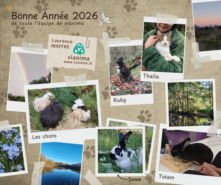 Bonne année 2026