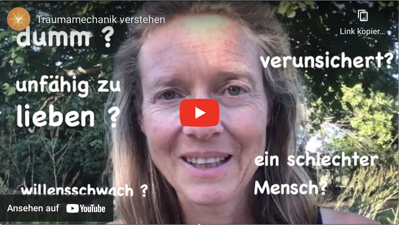 Traumamechanik verstehen
