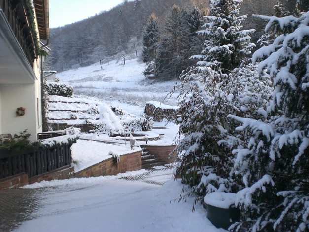 4 Sterne Ferienwohnung Familie Meyerhöfer, Eußerthal, Garten im Winter