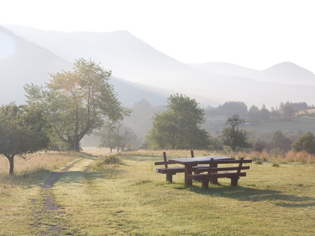 Pfälzerwald Aussichtsbank