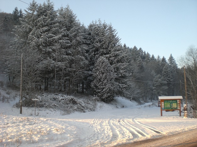 Zufahrt zu Eußerthal im Winter