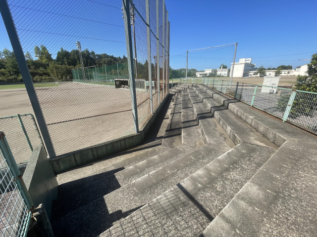 バックネット裏