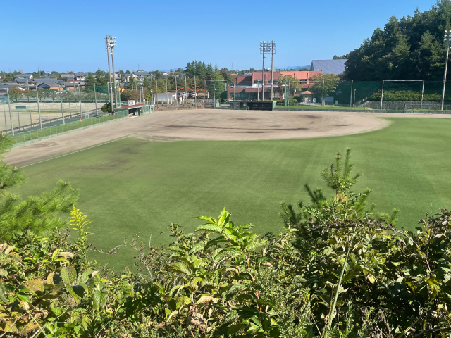 フィールド全景
