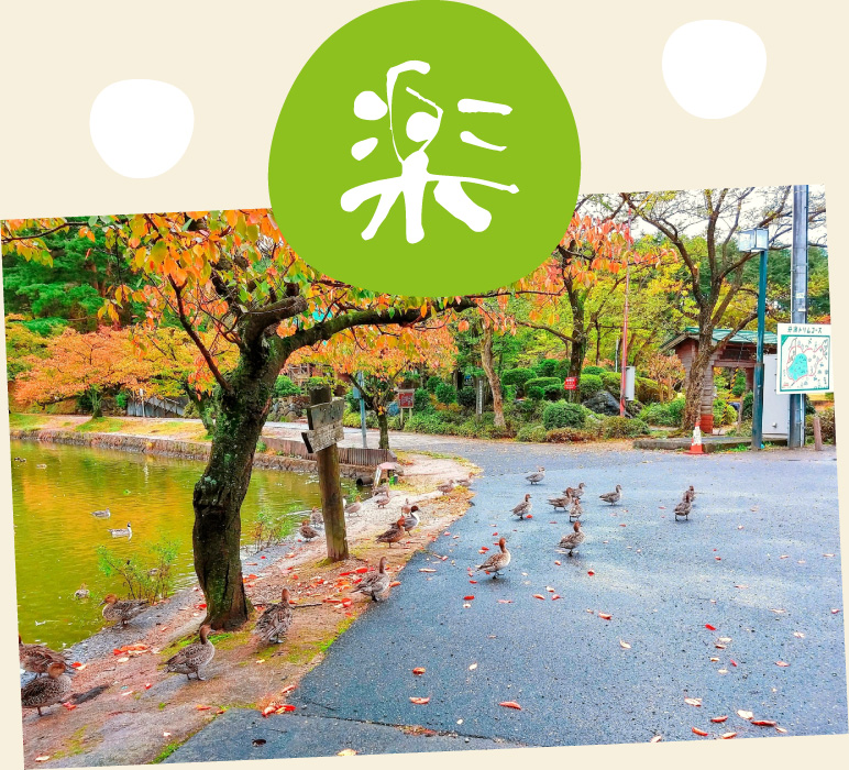 新潟の楽しい宿・旅館