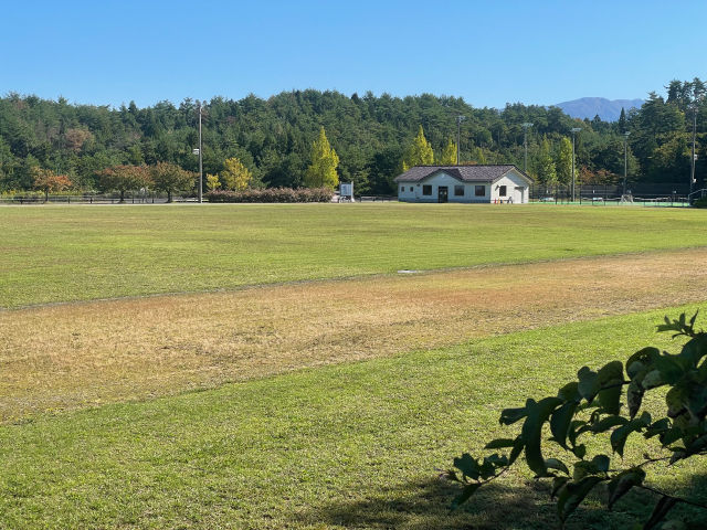 トラックとピッチ