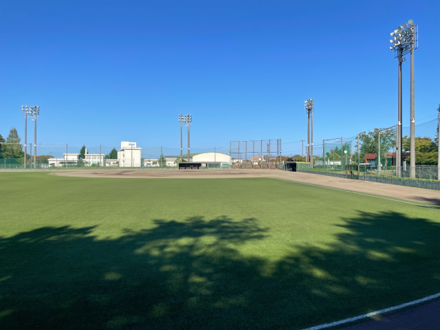 フィールド全景