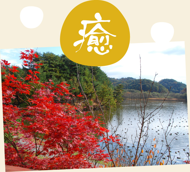 新潟の癒しの宿・旅館