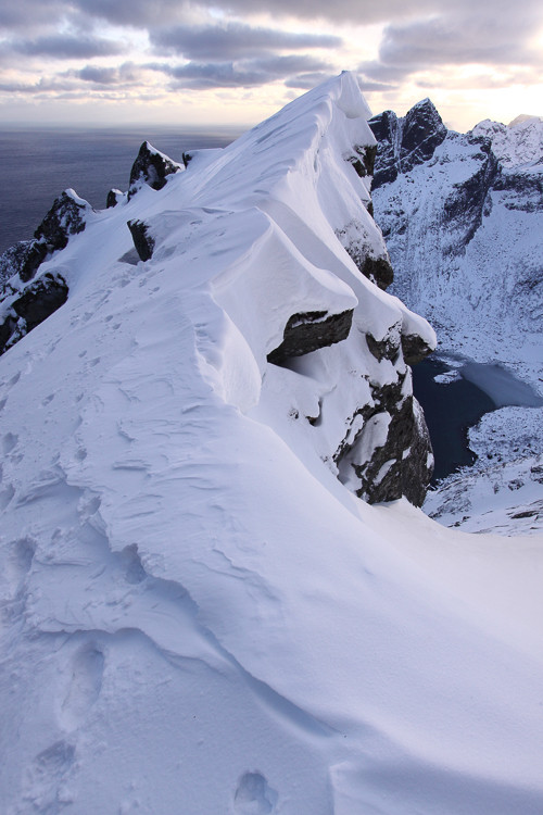 über dem Reinefjord