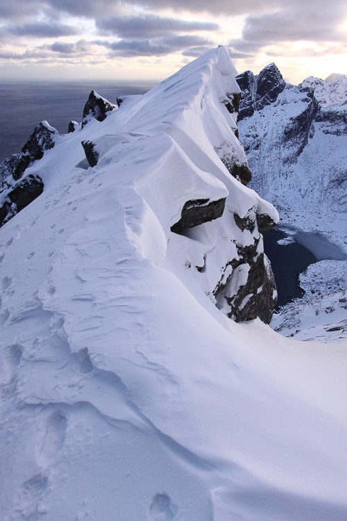 über dem Reinefjord