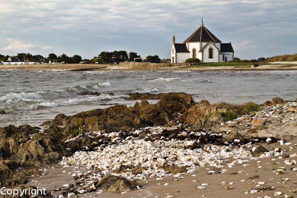 Penvins Morbihan