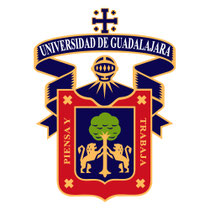  <var> anim-left-right </var>