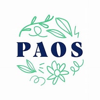 Paos, cosmétiques bio zéro déchet pour le voyage. 