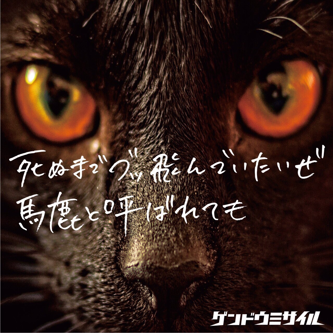 ゲンドウミサイル - ゲンドウミサイル OFFICIAL WEB SITE