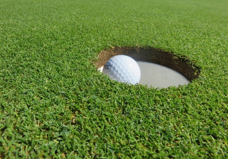 What Grass Is Best For A Putting Green? yourgolfbud